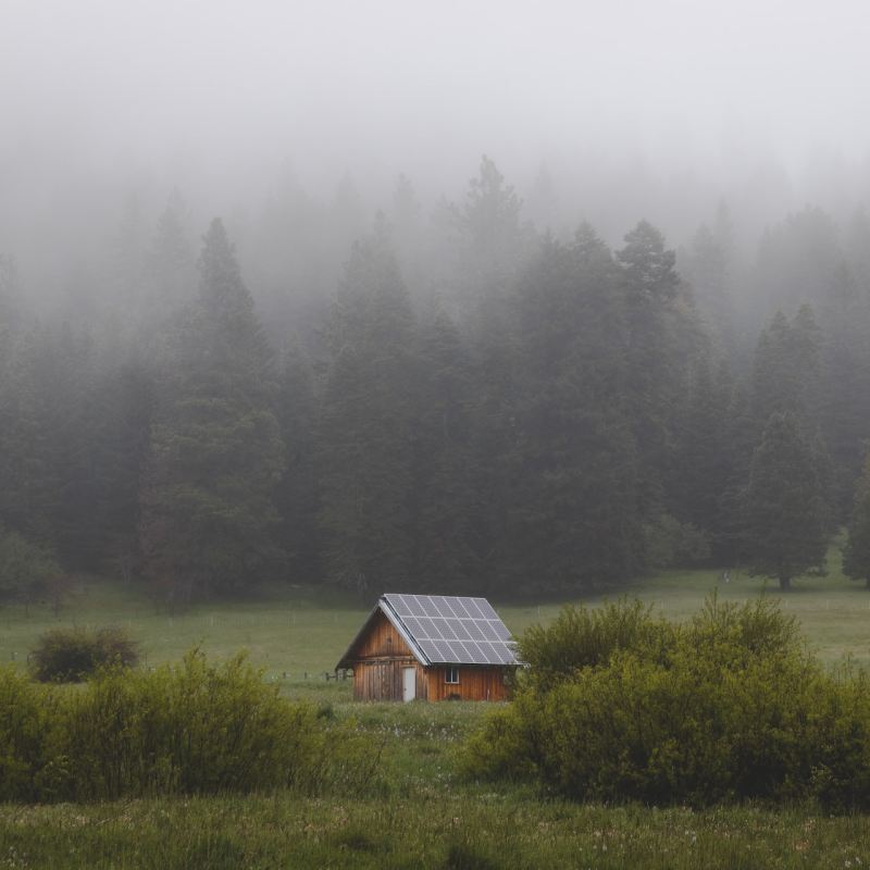 Walden hut representation