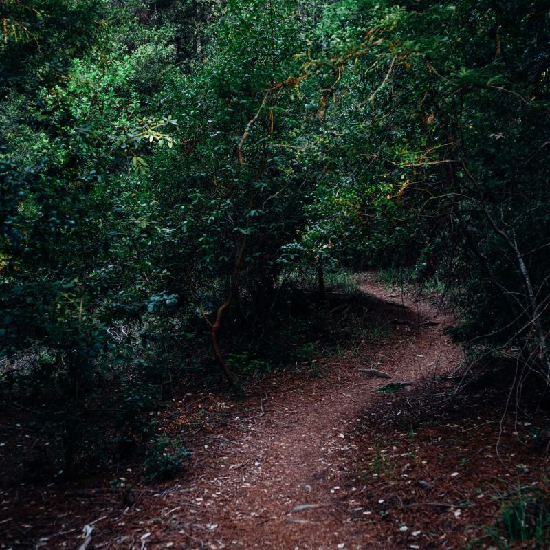 The road less travelled by